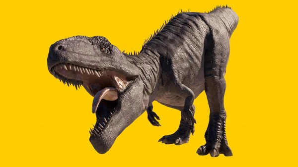 Illusztrációja Egy Giganotoszaurusz Dinoszaurusz Üvölt Nagy Száját Izolált Sárga Alapon — Stock Fotó
