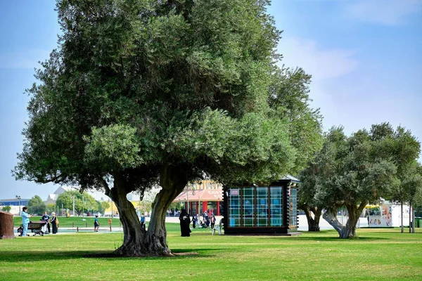 Piękne Ujęcie Drzew Aspire Park Doha Katar — Zdjęcie stockowe