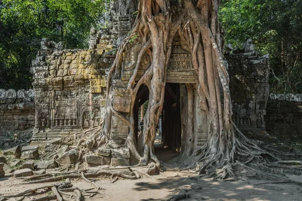 Una Hermosa Toma Del Templo Angkor Wat Siem Reap Camboya — Foto de Stock