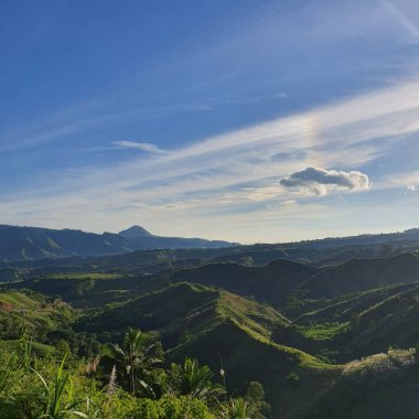 Güneşli bir yaz gününde yeşil tropikal yağmur ormanlarının güzel manzarası