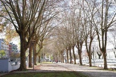 Güneşli bir günde güzel bir yürüyüş manzarası