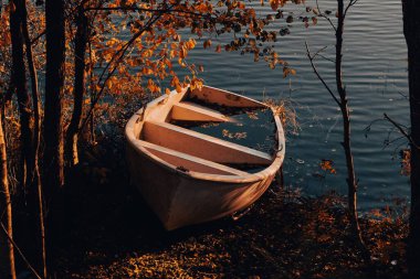 Terk edilmiş ahşap bir tekne. Yarısı su dolu bir göl kıyısında. Etrafı altın sonbahar doğasıyla çevrili.