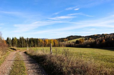 Çek Cumhuriyeti 'nin Ravenice kentindeki dağların yakınlarındaki güzel bir ormanın hava manzarası.