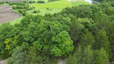 Amerika 'daki Ozarks Gölü yakınlarındaki yemyeşil ormanların insansız hava aracı görüntüleri.