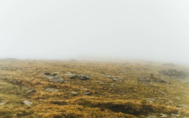 Kuru otlar ve kayalıklar üzerinde mistik bir sis görüntüsü