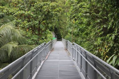 Parkta dar bir köprü.