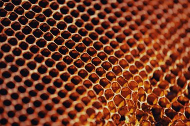 Bir bal peteğinin dokusunun yakın plan çekimi.