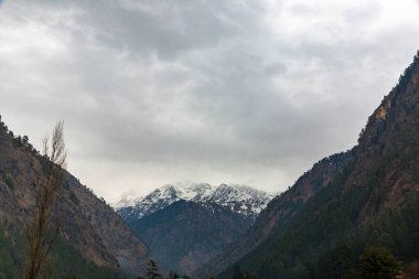 Yoğun ağaçlarla çevrili karlı bir dağ manzarası.