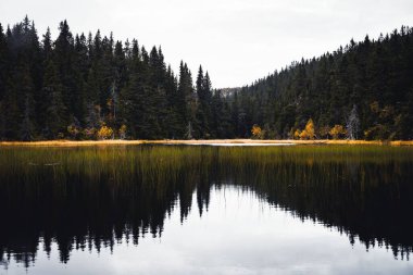 Svartdalstjern Ormanı 'nın manzaralı bir görüntüsü Norveç' teki göle mükemmel yansıyor.
