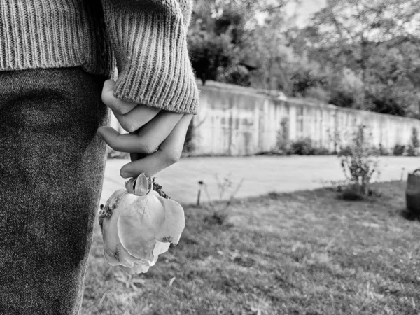 Eine Schwarz Weiß Aufnahme Einer Rose Den Händen Eines Mädchens — Stockfoto