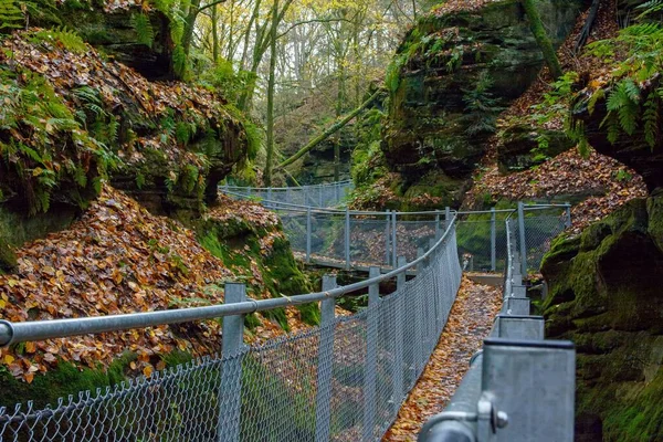 Uma Bela Vista Uma Folhagem Queda Mullerthal Trail Luxemburgo — Fotografia de Stock