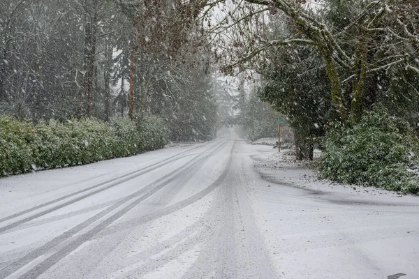 12月のマーサー島での初冬の雪の間の緑の木と茂みの間の雪に覆われた道路 — ストック写真