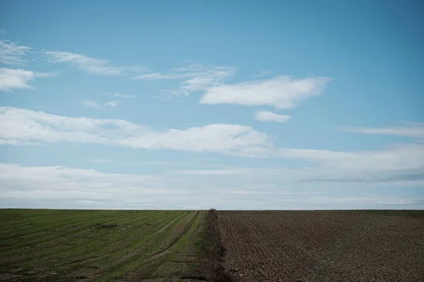 stock image A cultivated field divided form grassy valley under cloudy sky in Normandy, France