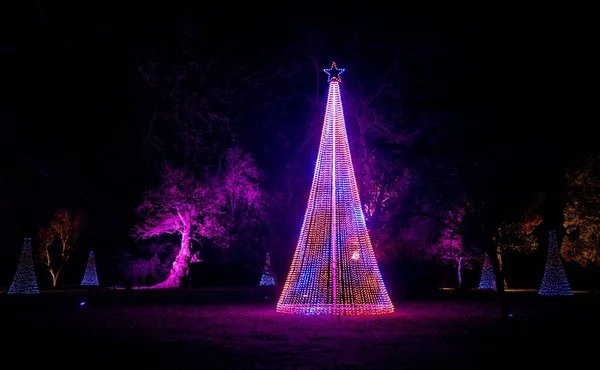 Pohled Osvětlené Kuželové Vánoční Stromky Blenheim Lights Trail — Stock fotografie
