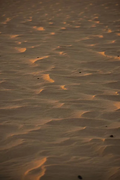 非洲撒哈拉沙漠落日时沙漠沙地的垂直拍摄 — 图库照片