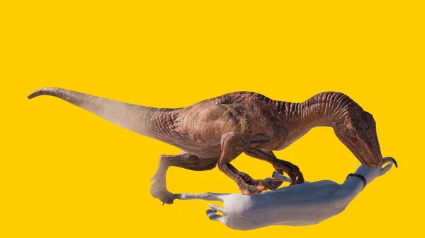 Representación Dinosaurio Velociraptor Comiendo Presa Aislada Sobre Fondo Amarillo — Foto de Stock