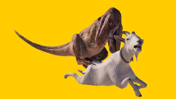 Återgivning Velociraptor Dinosaurie Äta Get Isolerad Gul Bakgrund — Stockfoto