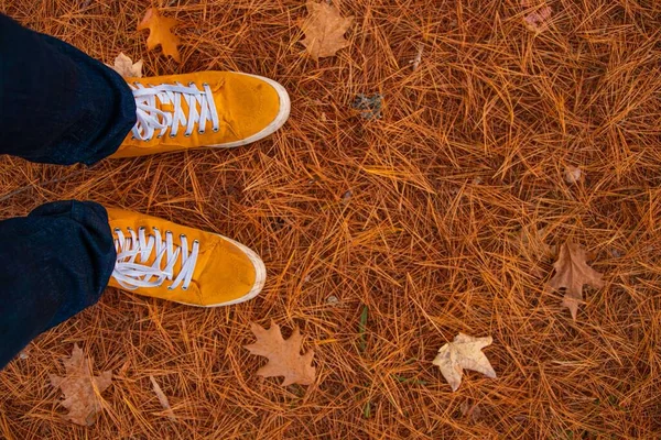 Ένα Άτομο Που Φοράει Πορτοκαλί Παπούτσια Καθώς Περπατά Μέσα Στο — Φωτογραφία Αρχείου
