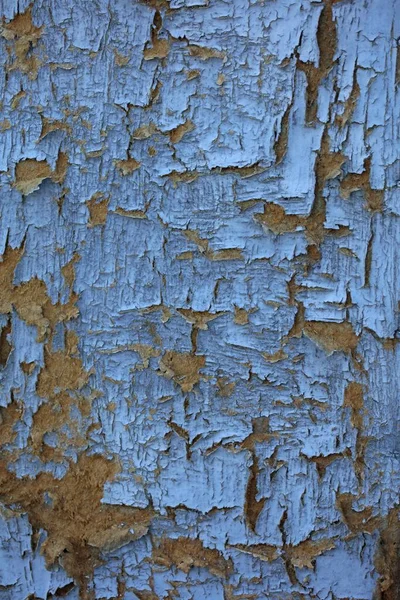 Вертикальный Крупный План Текстуры Старой Выветриваемой Деревянной Двери — стоковое фото