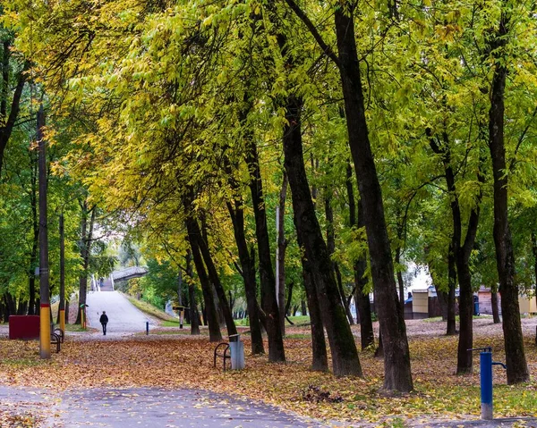 Крупный План Человека Идущего Улице Через Парк Яркими Зелеными Деревьями — стоковое фото