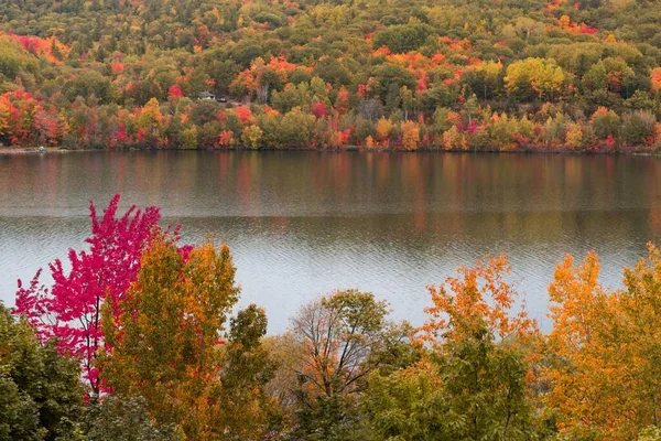 Μια Όμορφη Θέα Μιας Λίμνης Φυλλώματα Πτώση Γύρω Από Δέντρα — Φωτογραφία Αρχείου