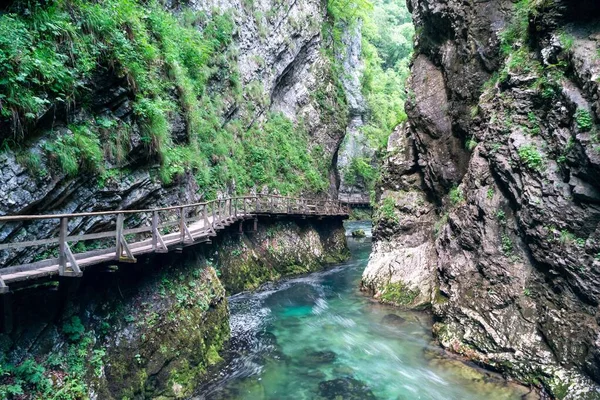Desfiladero Vintgar Bled Eslovenia —  Fotos de Stock
