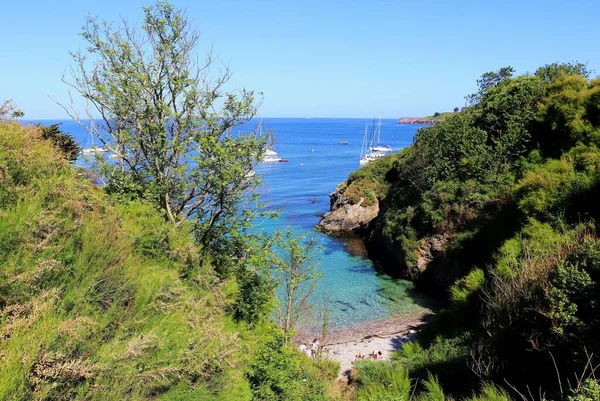 Krásná Krajina Moře Zeleného Listí — Stock fotografie