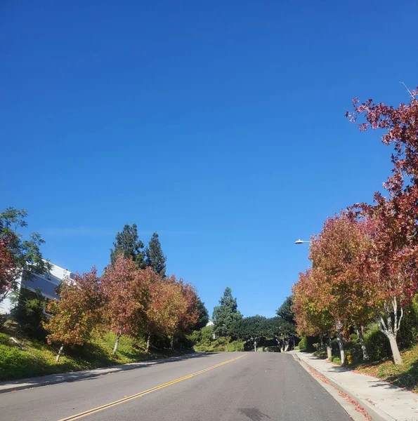 一条街道 秋天被树木环绕 在阳光灿烂的日子里 有一幢房子 上面蓝蓝的天空 — 图库照片