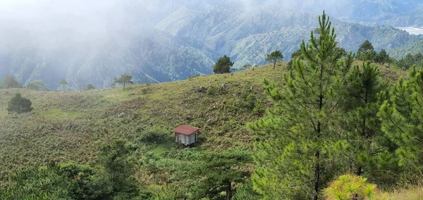 Uma Bela Vista Panorâmica Colinas Verdes Florestadas Dia Ensolarado Verão — Fotografia de Stock