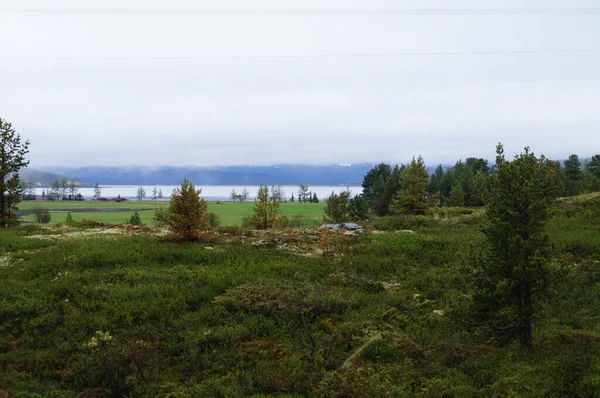 Malowniczy Widok Zielone Pole Trawy Drzewami Jezioro Tle Otoczony Pasmem — Zdjęcie stockowe