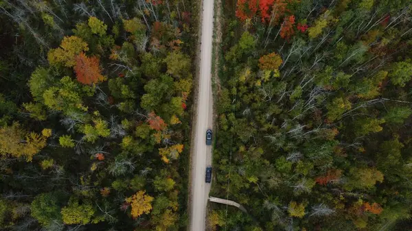 Вид Воздуха Дорогу Окружении Разноцветных Высоких Деревьев — стоковое фото