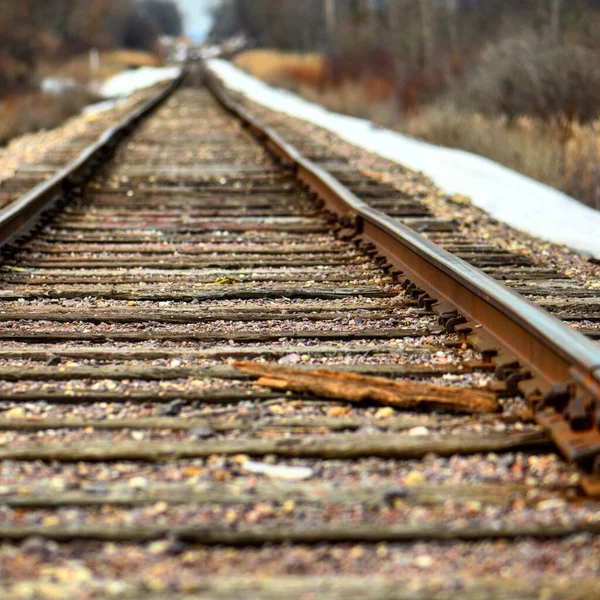 Eine Nahaufnahme Rostiger Eisenbahnschienen Die Einem Sonnigen Tag Durch Die — Stockfoto