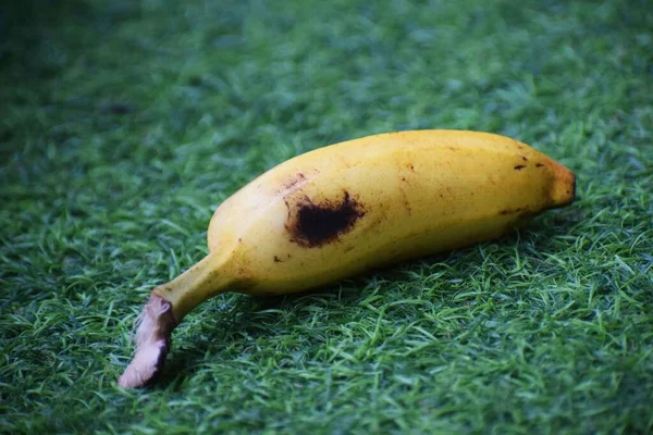 A small banana on grass