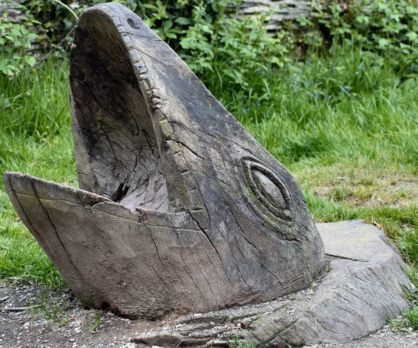 Uma Cabeça Peixe Esculpida Mão Plymouth Art College Encontrada Central — Fotografia de Stock