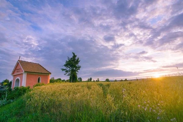 Een Kapel Het Maïsveld Waar Zon Van Achteren Schijnt — Stockfoto