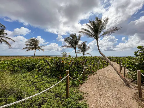 Caminho Arenoso Rodeado Por Vegetação Verde Delray Beach Flórida — Fotografia de Stock