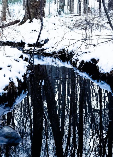 Ein Kleiner Bach Verschneiten Winter — Stockfoto
