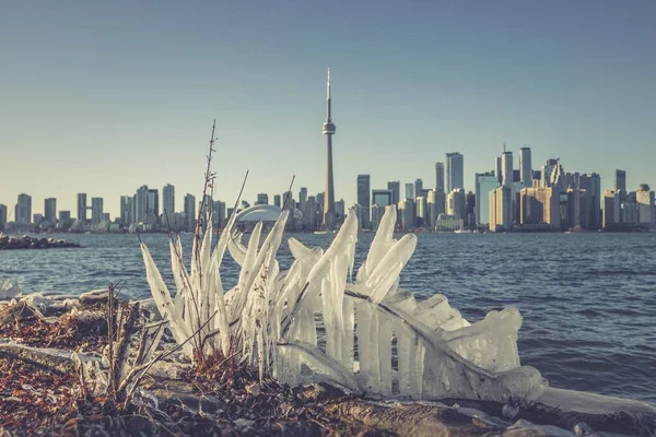 Красивый Снимок Небоскребов Течение Дня Торонто Канада — стоковое фото