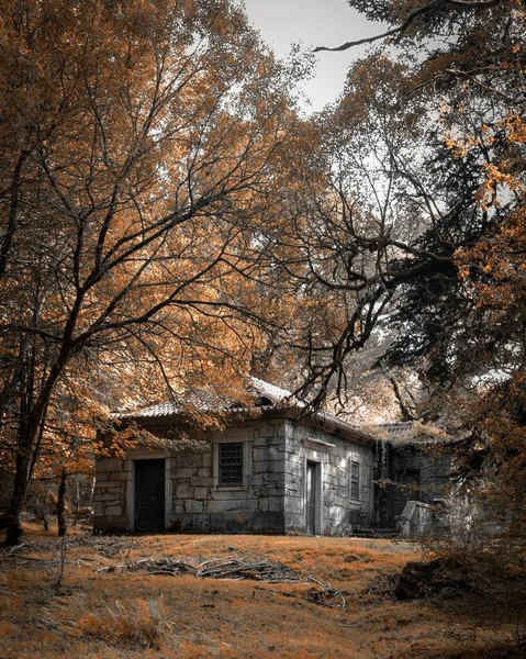 Красивый Кадр Старый Заброшенный Дом Лесу Окружении Красочных Осенних Деревьев — стоковое фото