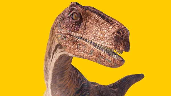 Dinossauro Velociraptor Isolado Fundo Branco Amarelo — Fotografia de Stock