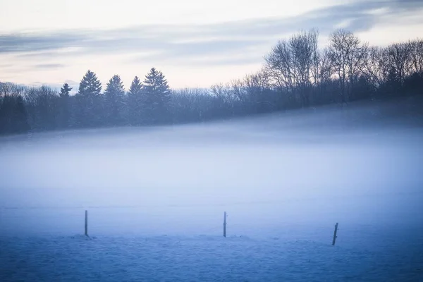 Uma Bela Vista Prado Coberto Por Nevoeiro Inverno — Fotografia de Stock