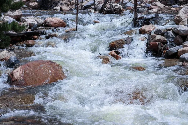 Closeup Shot Flowing Splashing Rocky Stream Forest — Stock Photo, Image