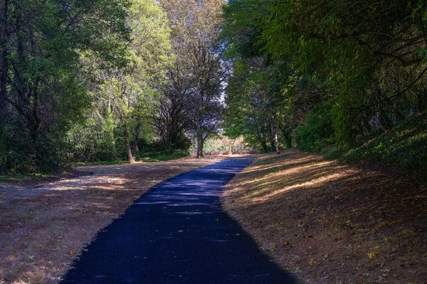 ワシントン州マーサー島の秋の色を持つ地元の都市公園を通る経路 — ストック写真