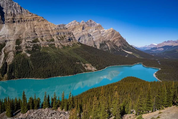 Nádherný Výhled Průzračné Horské Jezero Obklopené Věčně Zeleným Lesem Skalnatými — Stock fotografie