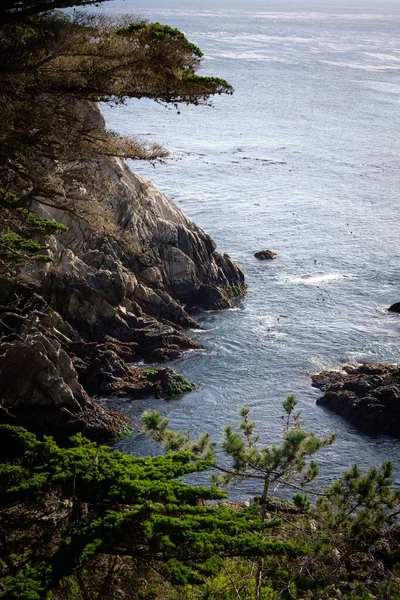 Eine Vertikale Aufnahme Einer Klippe Und Grüner Bäume Meer Tayrona — Stockfoto