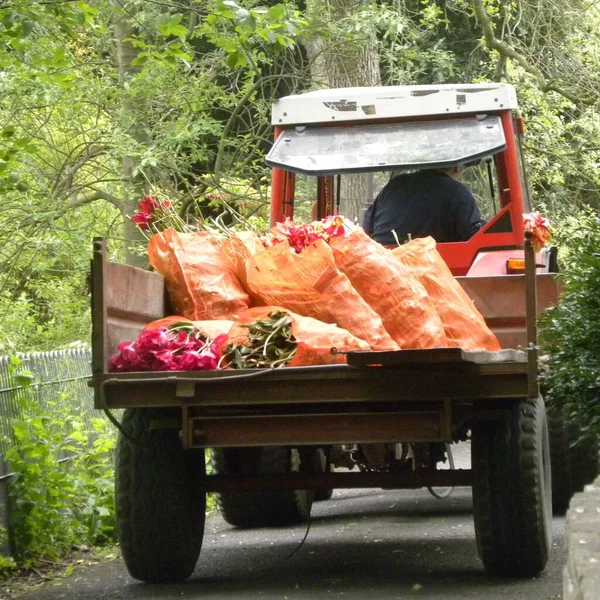 Vacker Bild Traktor Fylld Med Blommor Säckar Från Botanisk Trädgård — Stockfoto
