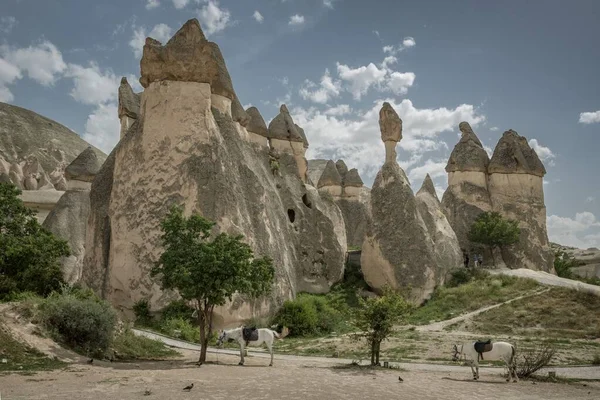 Two Horses Standing Front Beautiful Stone Formations Pasabag Valley Cappadocia — Stock Photo, Image