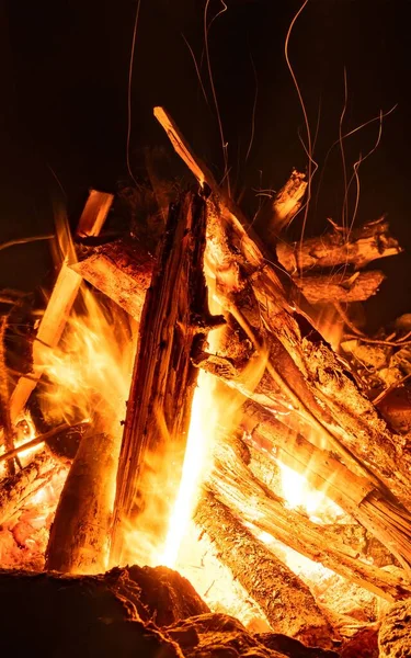 在夜晚篝火中燃烧的一帧垂直的树林 — 图库照片