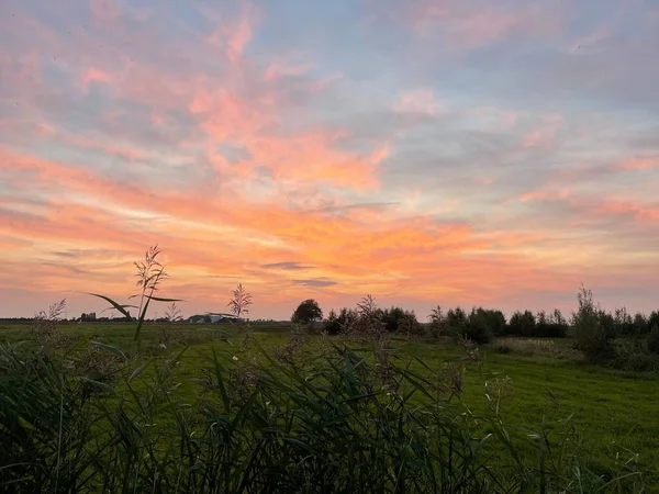 Eine Schöne Aufnahme Einer Grünen Wiese Während Des Sonnenuntergangs — Stockfoto