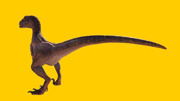 Sarı Arka Planda Izole Edilmiş Bir Velociraptor Dinozorunun Boyutlu Görüntüsü — Stok fotoğraf